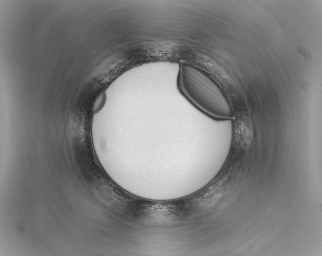 X0000115540566200912041013