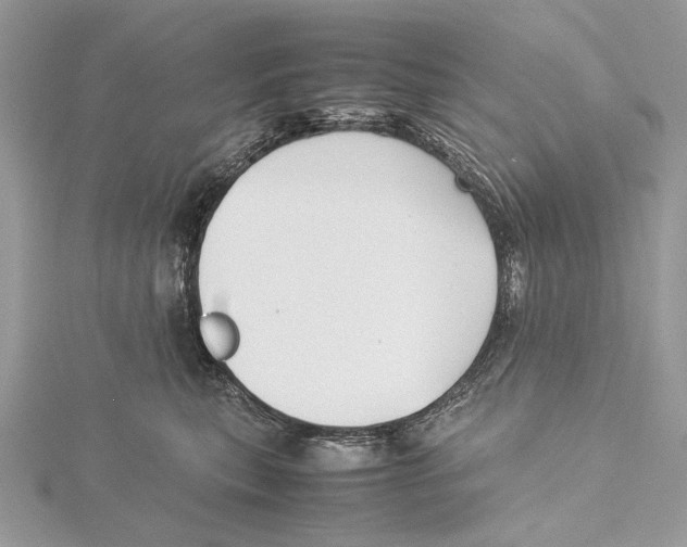 X0000115540567200912041013