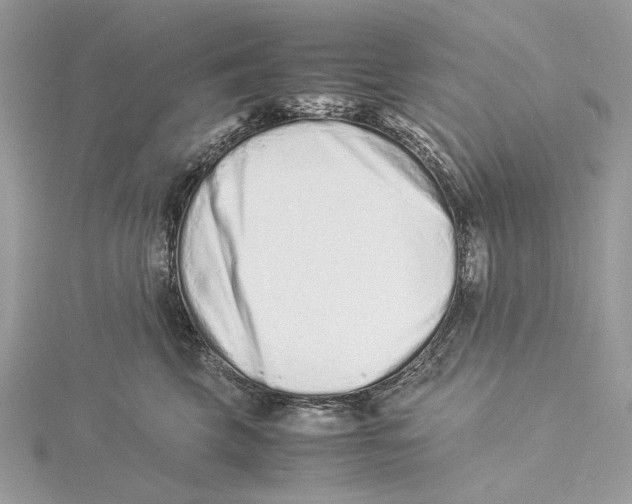 X0000115540569200912041013