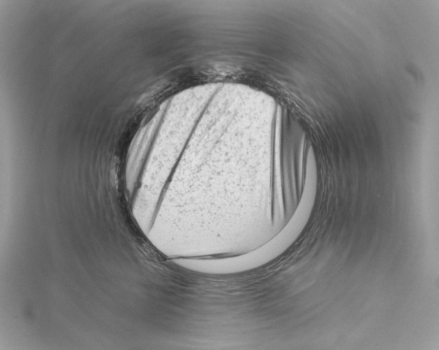 X0000115540570200912041013