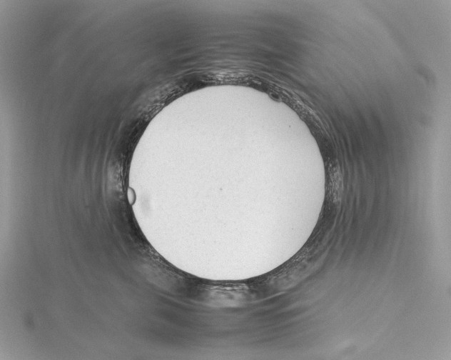 X0000115540571200912041013