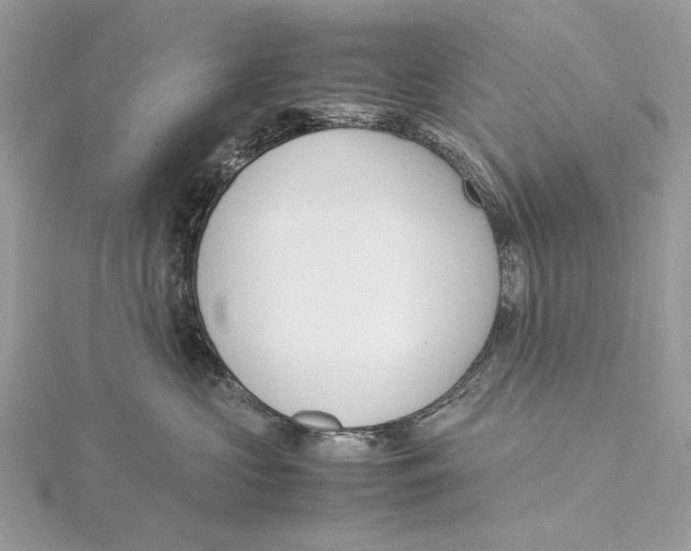 X0000115540573200912041013