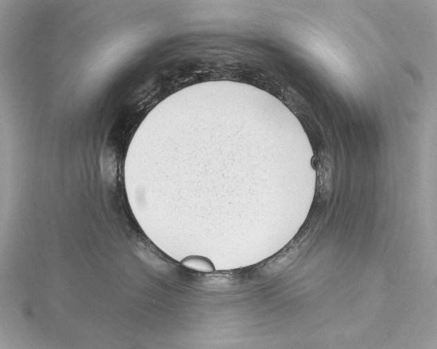 X0000115540574200912041013