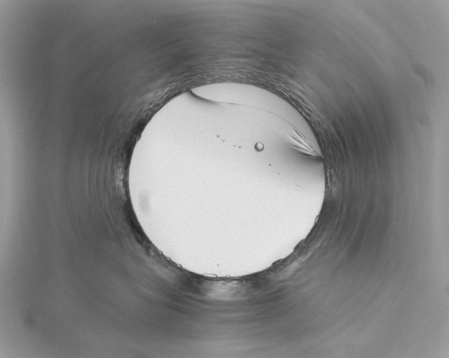 X0000115540575200912041013