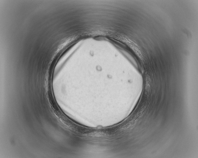 X0000115540578200912041012