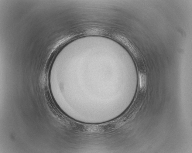 X0000115540579200912041012