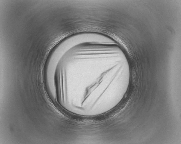 X0000115540581200912041012