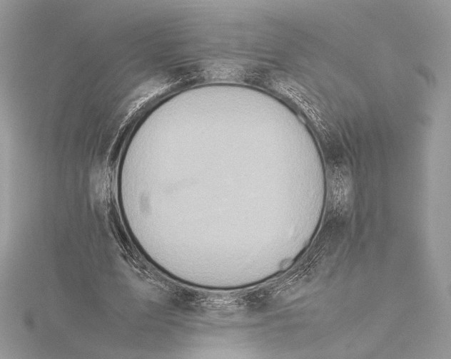 X0000115540583200912041012