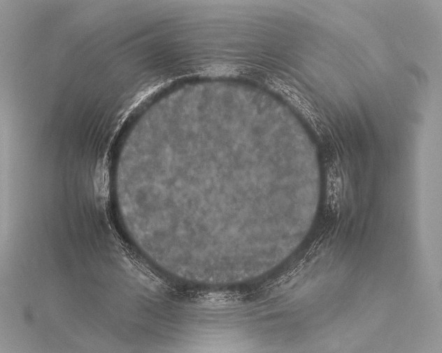 X0000115540584200912041012