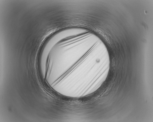 X0000115540587200912041012