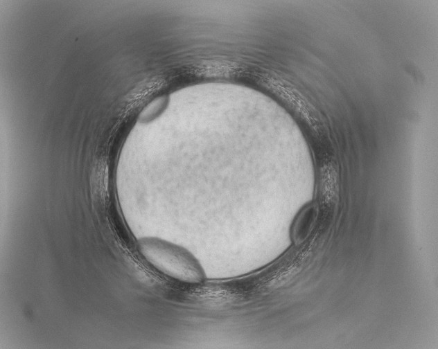 X0000115540589200912041012