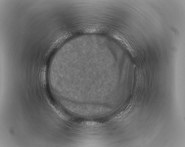 X0000115540590200912041012