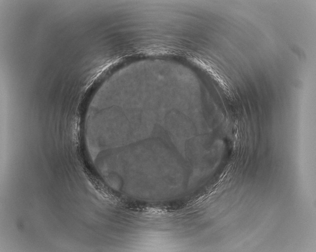 X0000115540592200912041012