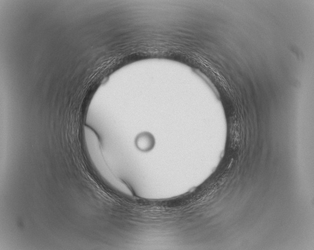 X0000115540593200912041012