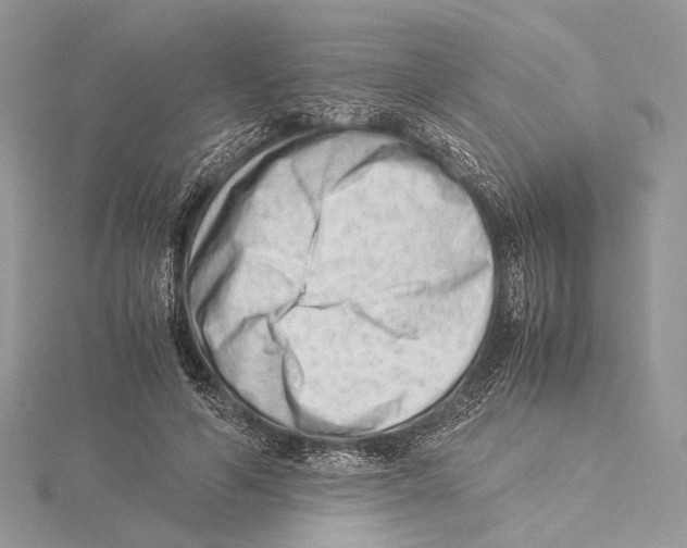 X0000115540594200912041012