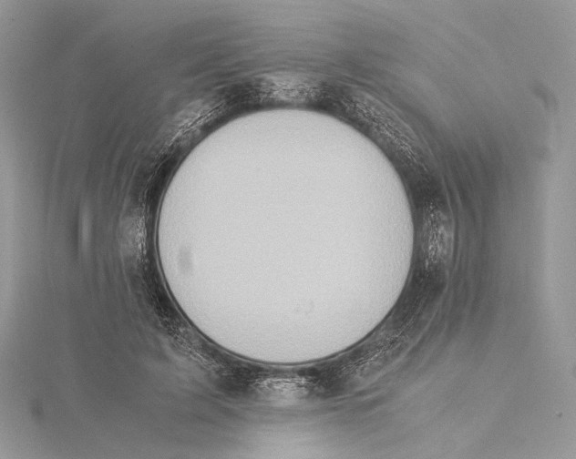 X0000115540595200912041012