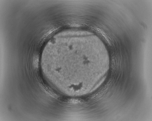 X0000115540596200912041012