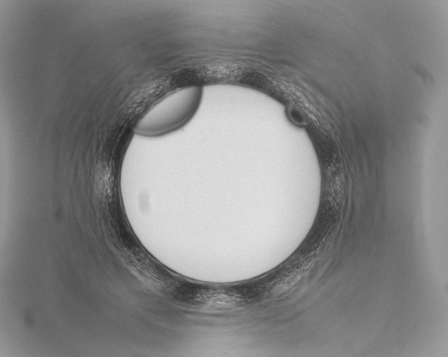 X0000115540597200912041012