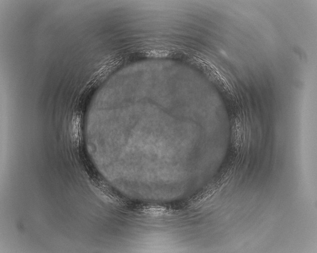 X0000115540598200912041012