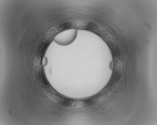 X0000115540599200912041012