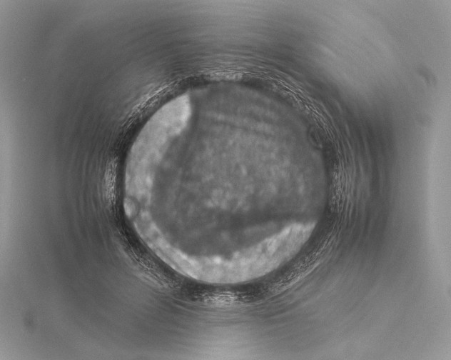 X0000115540600200912041012