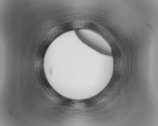 X0000115540601200912041012