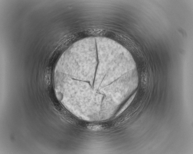 X0000115540602200912041012