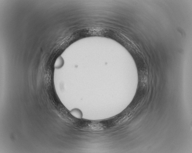 X0000115540603200912041012