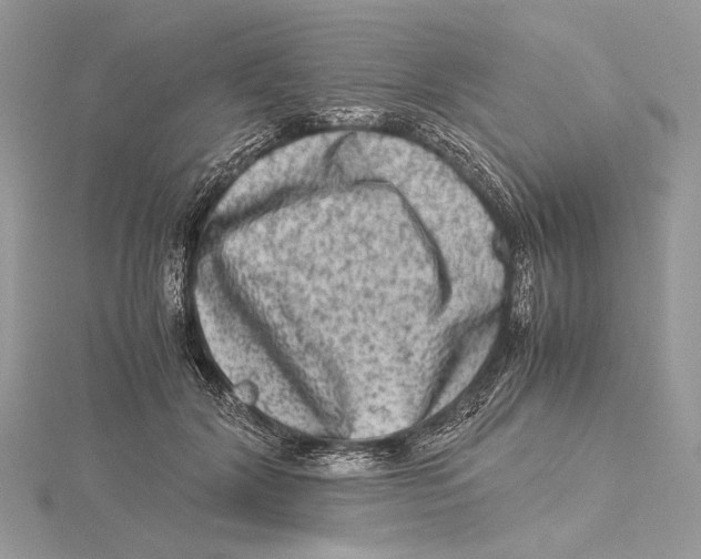 X0000115540604200912041012