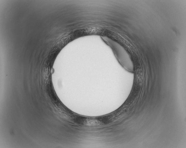 X0000115540605200912041012