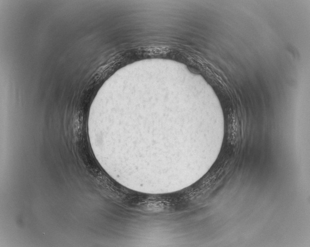 X0000115540608200912041012