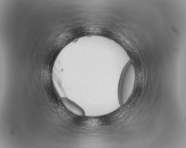 X0000115540609200912041012