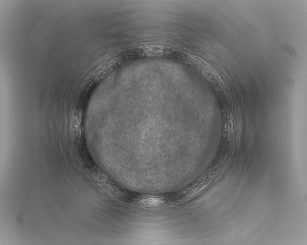 X0000115540610200912041012