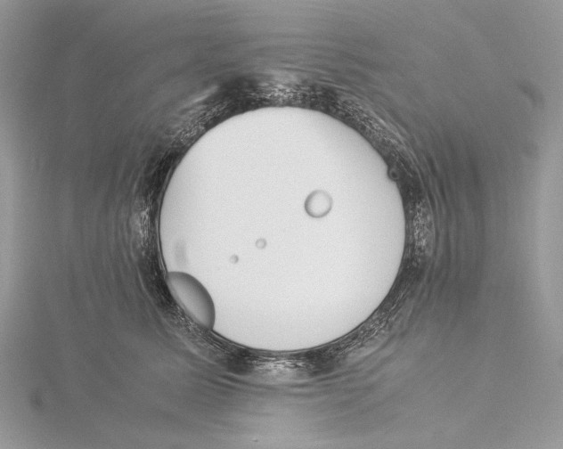 X0000115540611200912041012