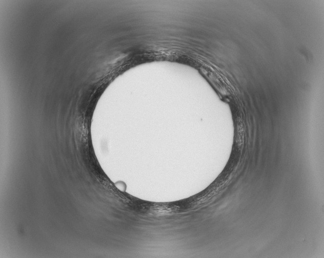 X0000115540613200912041012