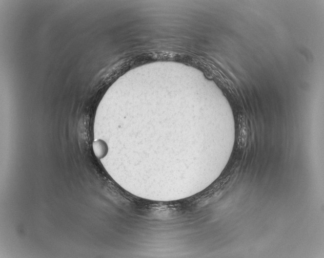 X0000115540616200912041012