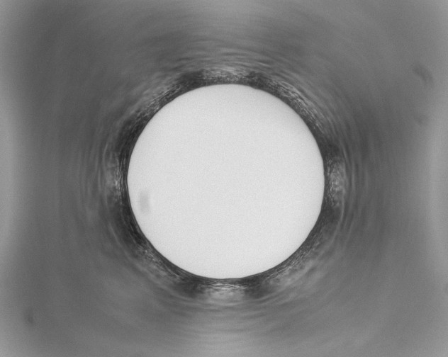 X0000115540617200912041012