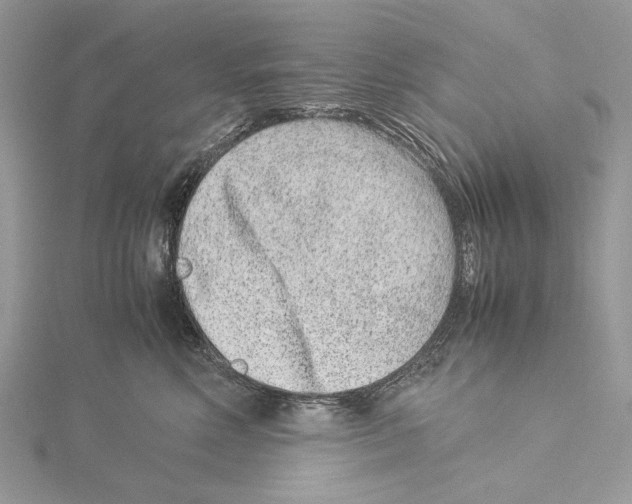 X0000115540618200912041012