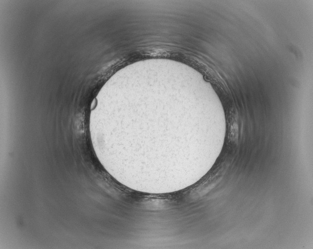 X0000115540620200912041012