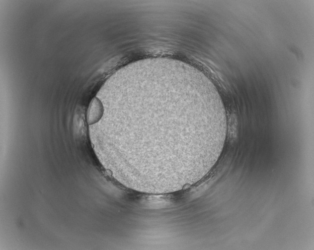 X0000115540622200912041012