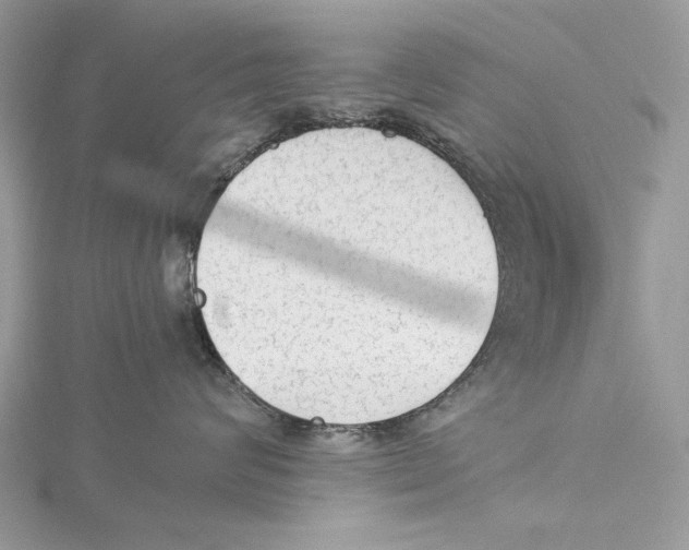 X0000115540624200912041012