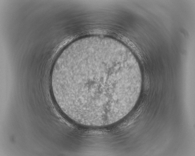 X0000115540625200912041011