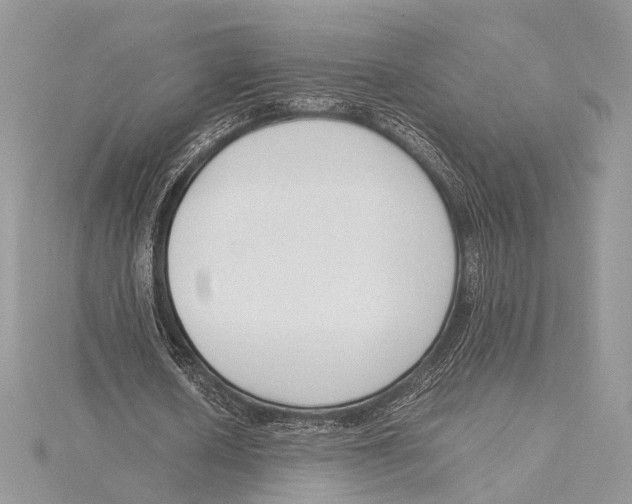 X0000115540626200912041011