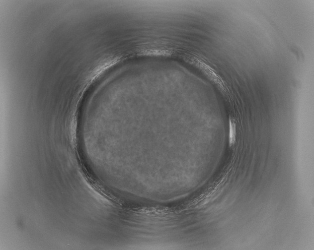 X0000115540627200912041011