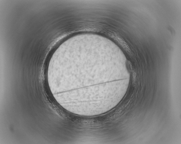 X0000115540628200912041011