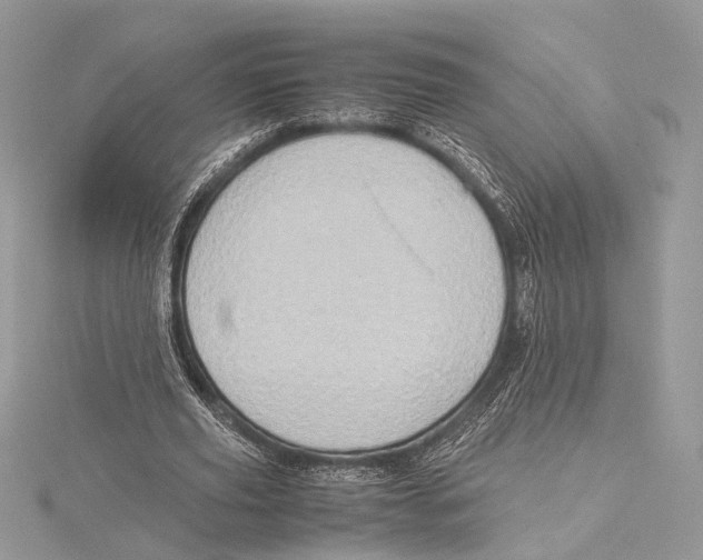 X0000115540629200912041011