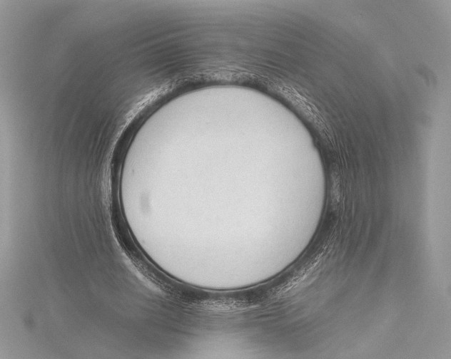 X0000115540630200912041011