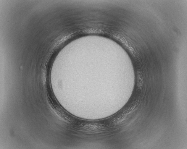 X0000115540631200912041011