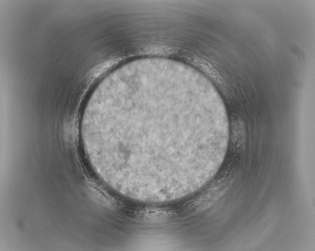 X0000115540632200912041011