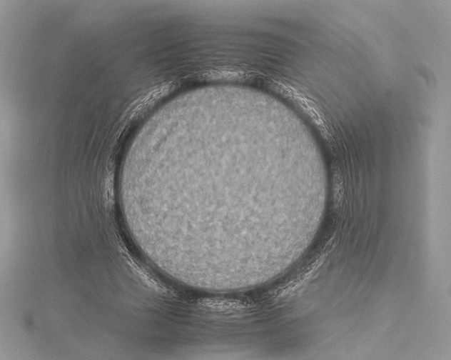 X0000115540633200912041011